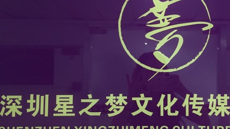 婚礼策划与会议策划：优缺点对比解析