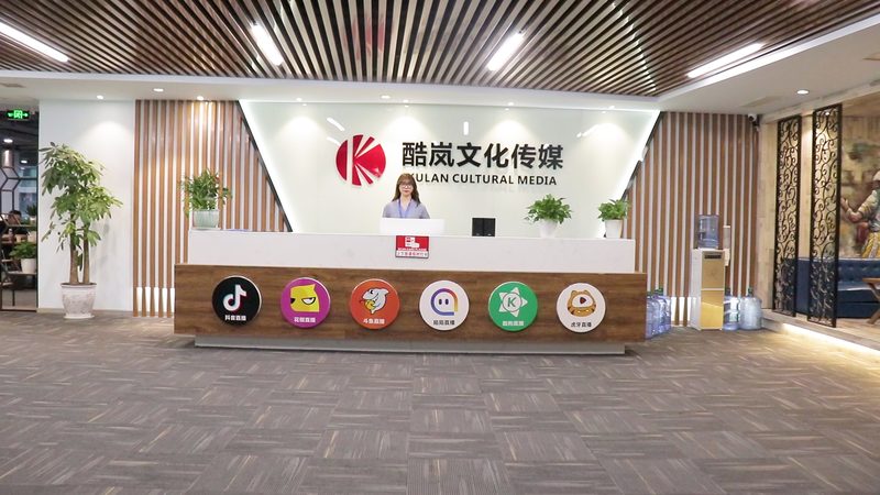 品牌全案策划：揭秘成功案例背后的策略与智慧